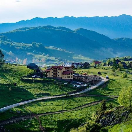 Pensiunea Crai Nou ชีร์นา ภายนอก รูปภาพ